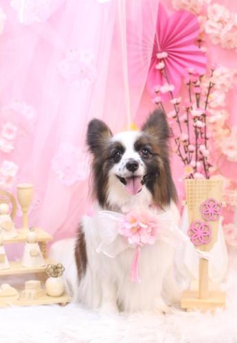 20250309マリーちゃん